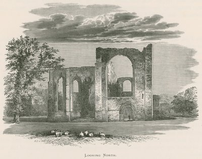 Abbazia di Furness, vista a nord da Alexander Francis Lydon