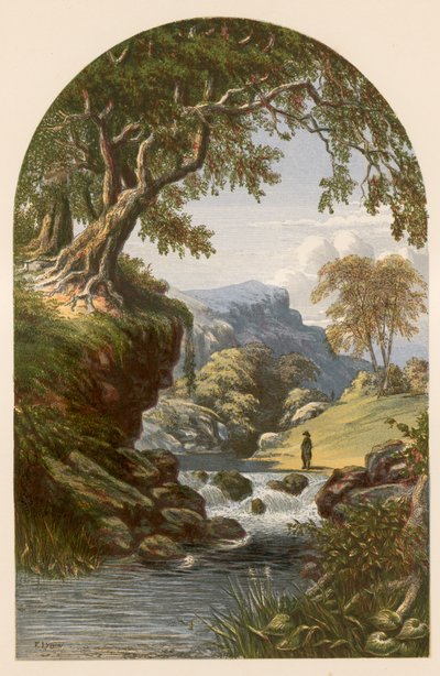 Illustrazione per 
