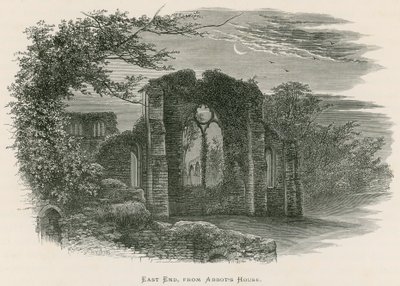 Abbazia di Netley, lato est, dalla casa dell