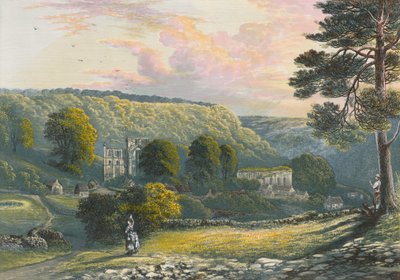 Abbazia di Rievaulx da Alexander Francis Lydon