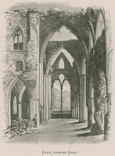 Abbazia di Tintern, Navata, vista verso est da Alexander Francis Lydon