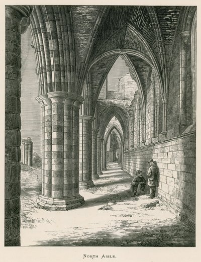 Abbazia di Whitby, Navata Nord da Alexander Francis Lydon