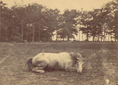 È questa la morte - Campo di battaglia di Antietam, settembre 1862, 1862 da Alexander Gardner