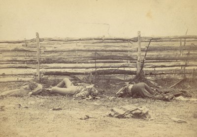 Veduta nel campo, sul lato ovest della strada di Hagerstown, dopo la battaglia di Antietam, 1862 da Alexander Gardner