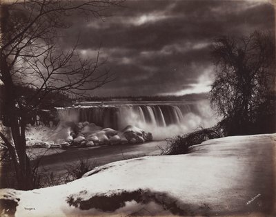 Cascate del Niagara da Alexander Henderson (Canadian