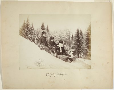 Slittino, c.1873 da Alexander Henderson