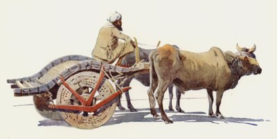 Un Carro di Buoi, Jodhpur da Alexander Henry Hallam Murray