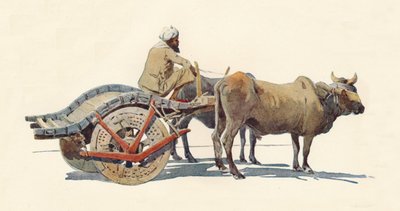 Un carro di buoi, Jodhpur da Alexander Henry Hallam Murray