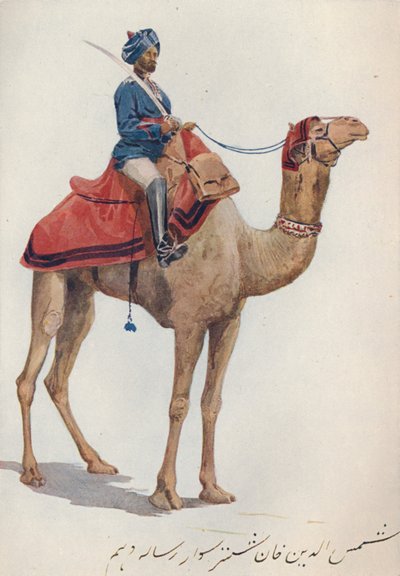 Un cammelliere del 10° Lancieri del Bengala, c1880 da Alexander Henry Hallam Murray