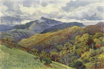 Le Montagne da Pallekelly da Alexander Henry Hallam Murray