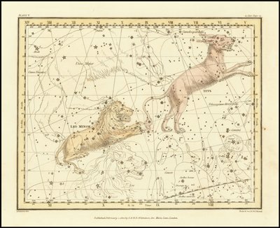 1822 - Alexander Jamieson - Lince e Leone minore da Alexander Jamieson