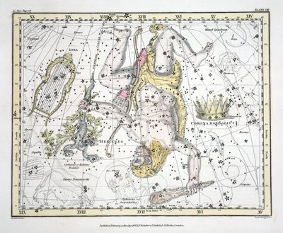 Le costellazioni (Tavola VIII) Corona Boreale, Ercole e Cerbero, Lira, da 