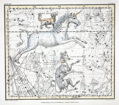 Le costellazioni (Tavola XXV) Canis Major, Canis Minor, Monoceros, Argo Navis, l