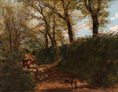Sole di primavera: una corsia vicino a Melrose da Alexander Jnr. Fraser