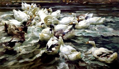Anatre che si radunano da Alexander Koester
