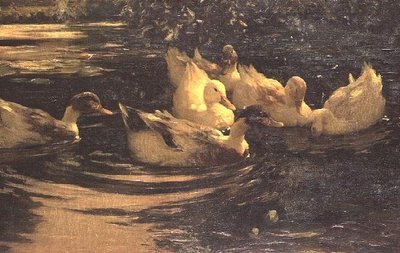 Anatre su uno stagno da Alexander Koester