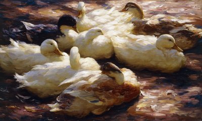Anatre su una riva del fiume da Alexander Koester