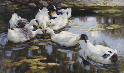 Lo stagno delle anatre da Alexander Koester