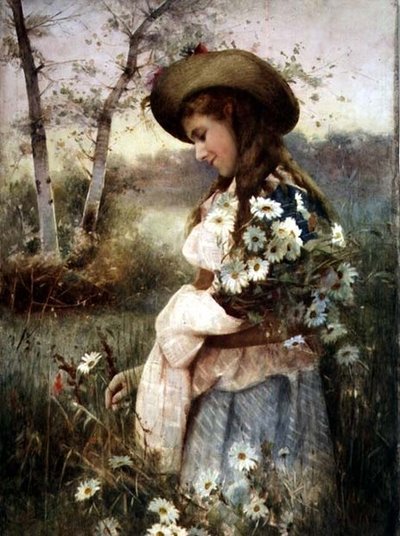 Raccolta di Margherite da Alexander M. Rossi