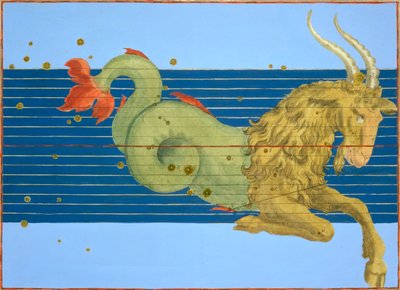 Costellazione del Capricorno da Alexander Mair