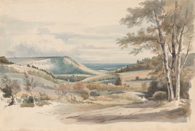 Boxhill da West Humble Lane da Alexander Monro