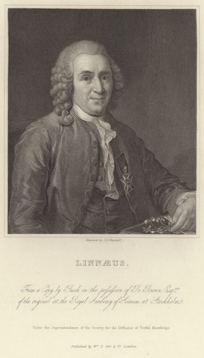 Linnaeus da Alexander Roslin