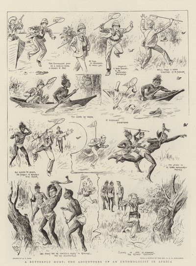Caccia alla farfalla, le avventure di un entomologo in Africa da Alexander Stuart Boyd