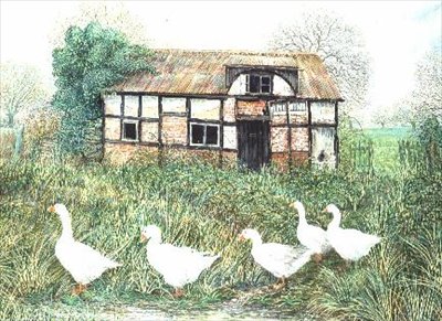 Oche davanti a un cottage in legno da Alexander Williams