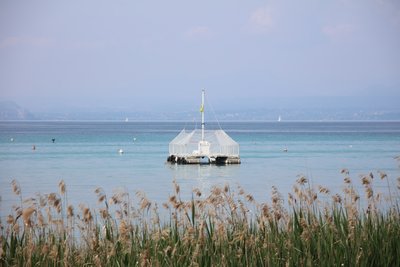 Tranquillità sul lago da Alexandra Joseph