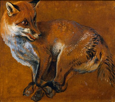 Volpe con zampe legate, di Alexandre-François Desportes da Alexandre Francois Desportes