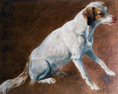 Antenato del Cocker Spaniel francese da Alexandre Francois Desportes