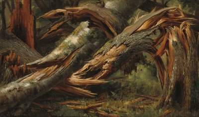 Albero Caduto da Alexandre Calame
