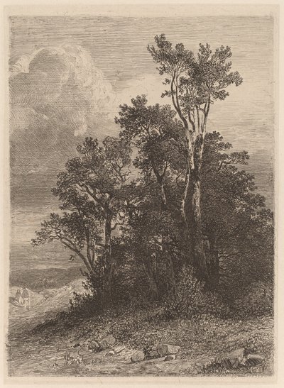 Boschetto di alberi da Alexandre Calame
