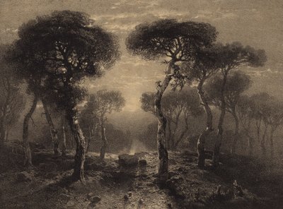 Paesaggio con alberi da Alexandre Calame