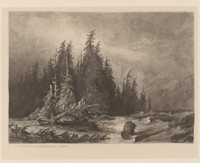 Pini di montagna da Alexandre Calame