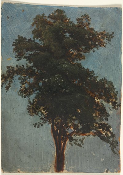  da Alexandre Calame