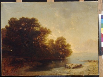 Alberi al lago di Calame, Alexandre (1810-1864) da Alexandre Calame
