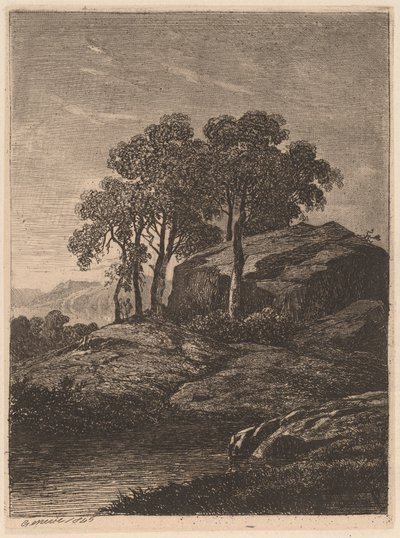 Alberi vicino a una roccia da Alexandre Calame