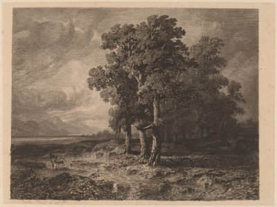 Alberi in una tempesta da Alexandre Calame