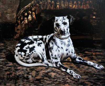 Ritratto di un dalmata da Alexandre Clarys