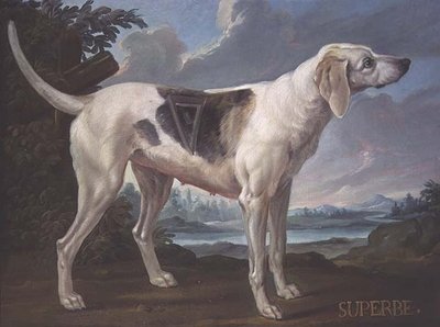Ritratto di un cane 