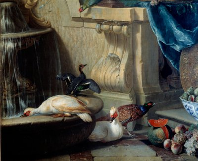 Anatre, fagiano, frutta vicino a una fontana (dettaglio). Dipinto di Francois Desportes (1661-1743) XVIII secolo Lione, Museo delle Belle Arti da Alexandre Francois Desportes