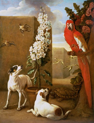 Pappagallo con cani da Alexandre Francois Desportes