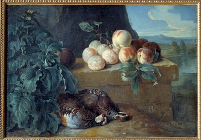 Pesche e pernici da Alexandre Francois Desportes