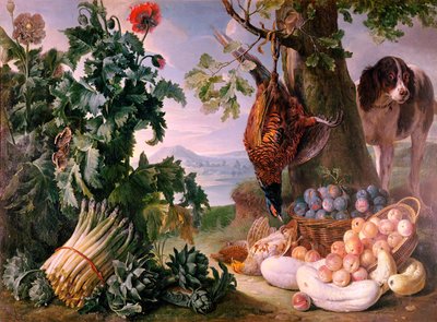 Natura morta con asparagi da Alexandre Francois Desportes