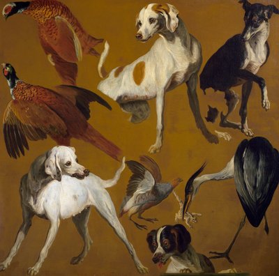 Studio di uccelli e cani da Alexandre Francois Desportes