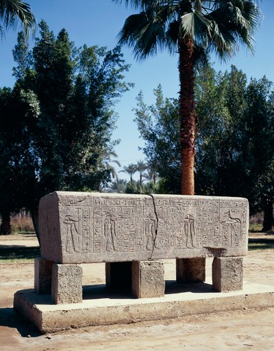 Egitto, Il Cairo, Antica Menfi, Sarcofago inciso da Nicolas Toussaint Charlet