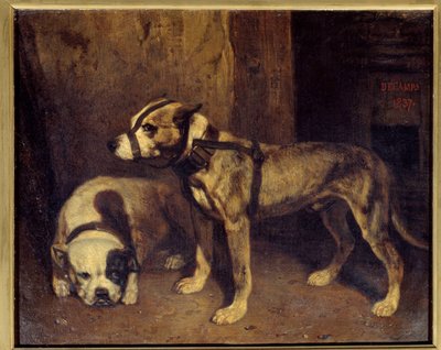 Bulldog scozzese e Terrier da Alexandre Gabriel Decamps