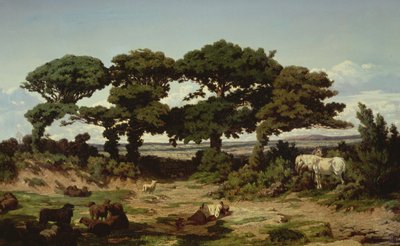 Le Querce di Kertregonnec da Alexandre Sege