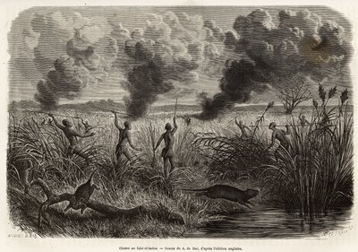 La tribù Bongo caccia il ratto dalle canne (per i naturalisti: aulacode), individuato il luogo dove vivono i roditori, si appicca il fuoco all